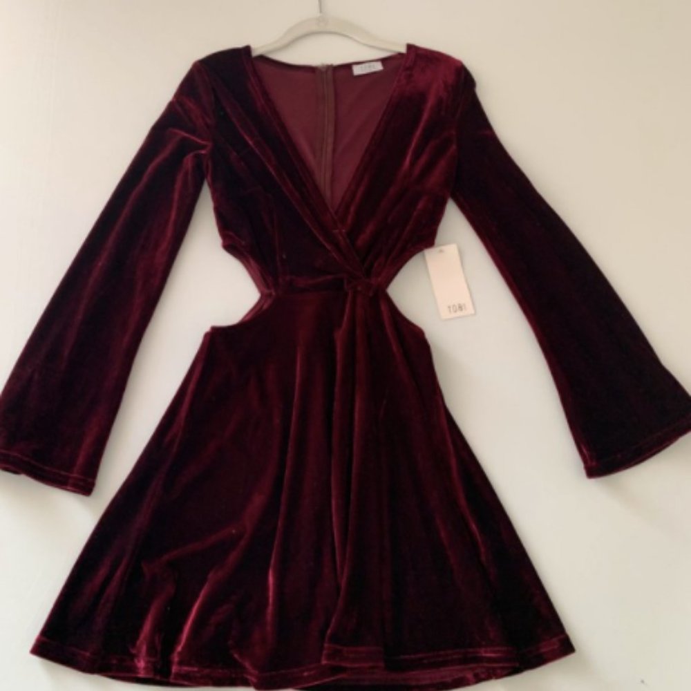 Tobi red velvet dress
